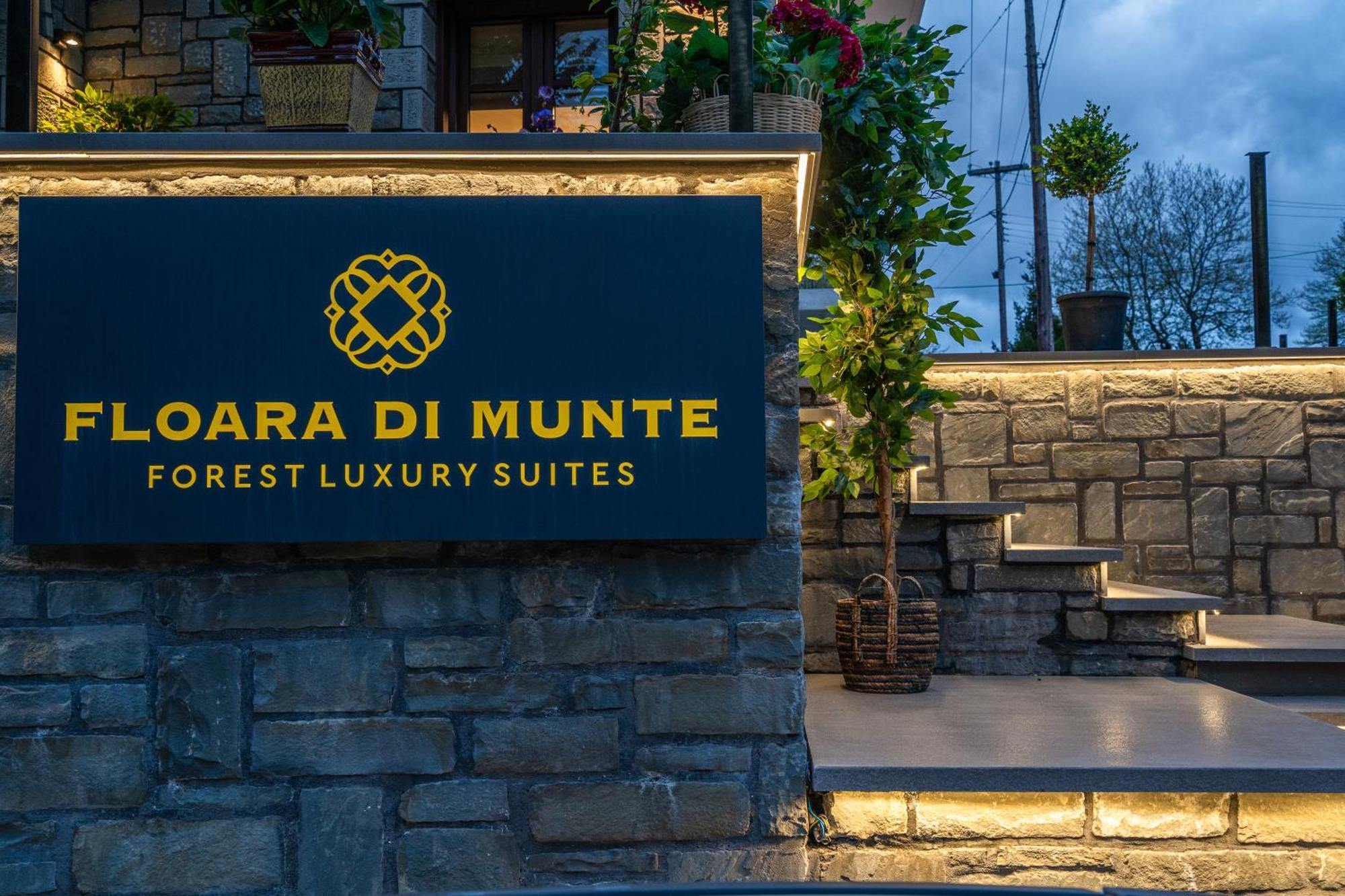 Floara Di Munte Forest Luxury Suites Metsovo Exteriör bild