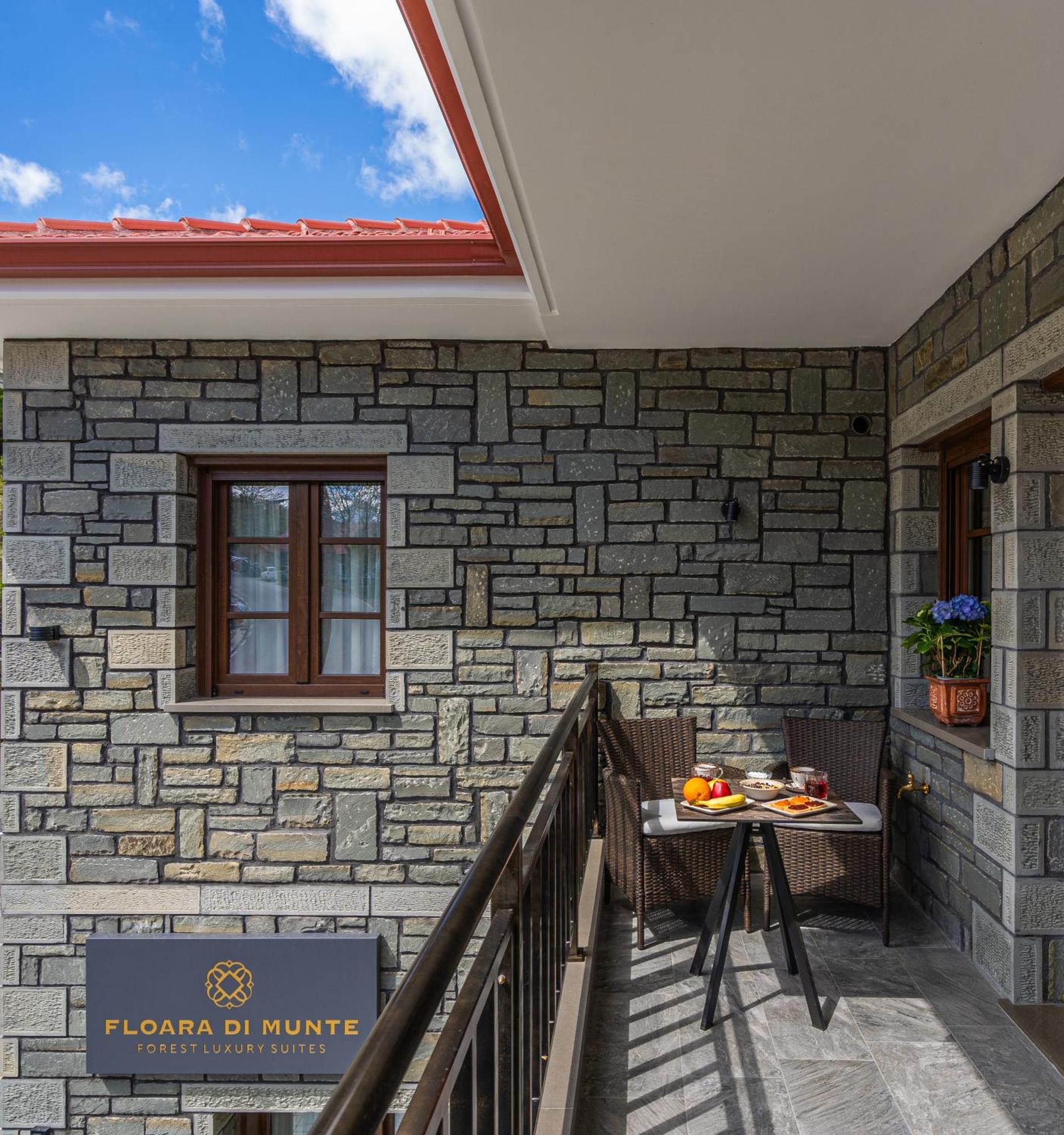 Floara Di Munte Forest Luxury Suites Metsovo Exteriör bild