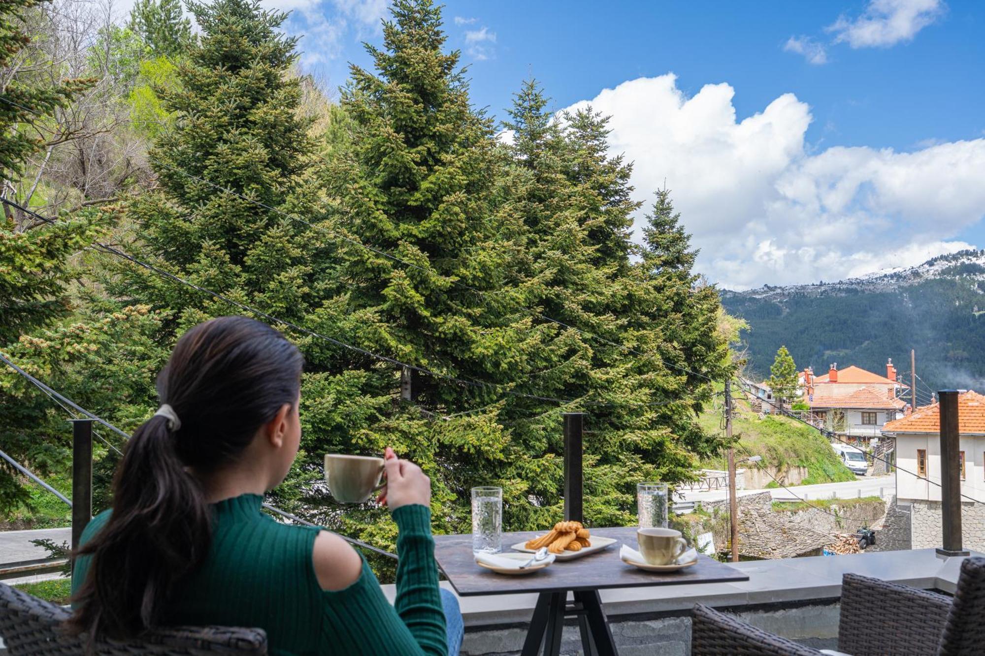 Floara Di Munte Forest Luxury Suites Metsovo Exteriör bild